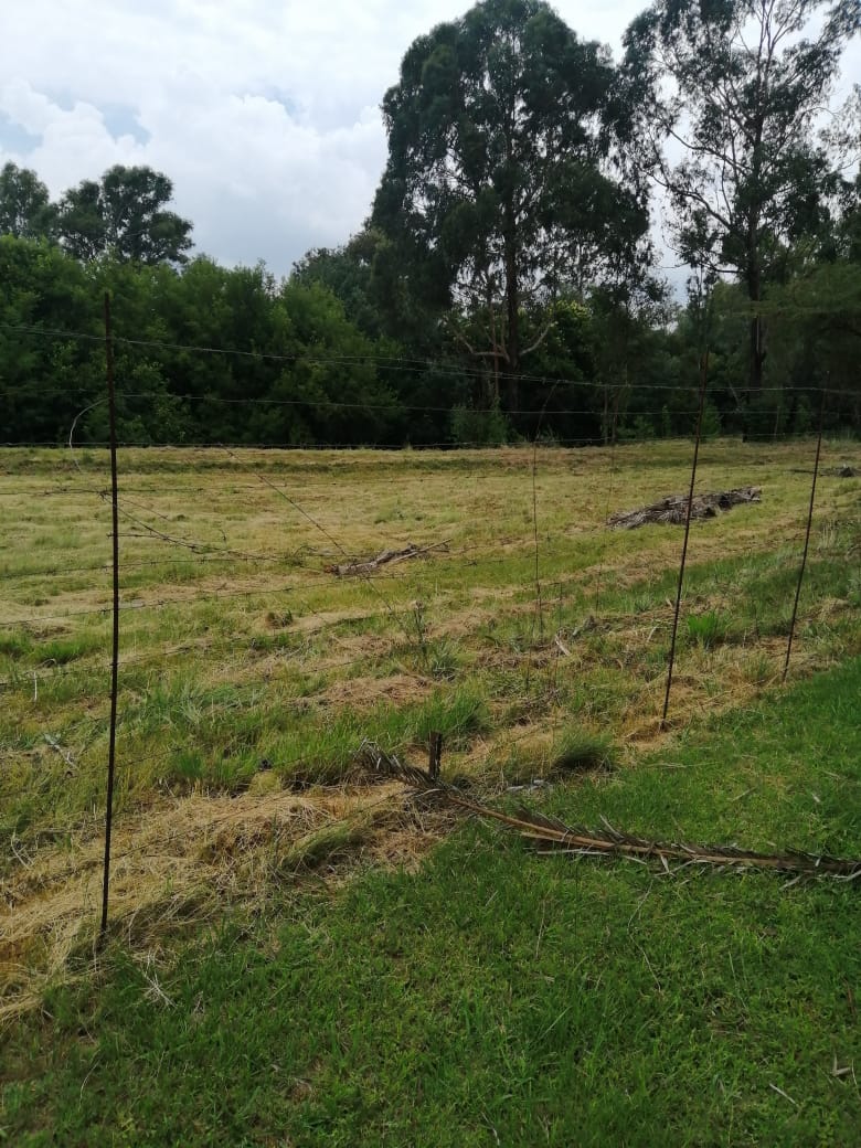  Bedroom Property for Sale in Lydenburg Mpumalanga