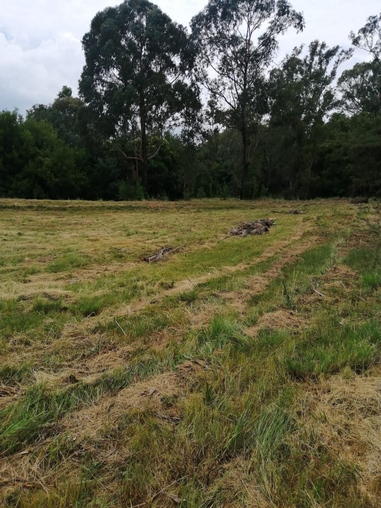  Bedroom Property for Sale in Lydenburg Mpumalanga