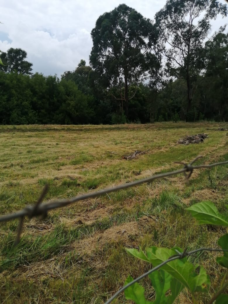  Bedroom Property for Sale in Lydenburg Mpumalanga