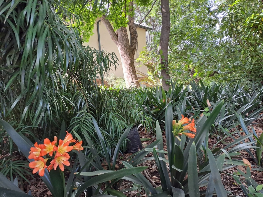  Bedroom Property for Sale in Lydenburg Mpumalanga