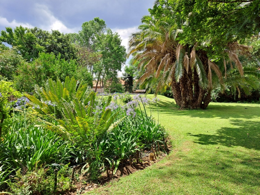  Bedroom Property for Sale in Lydenburg Mpumalanga