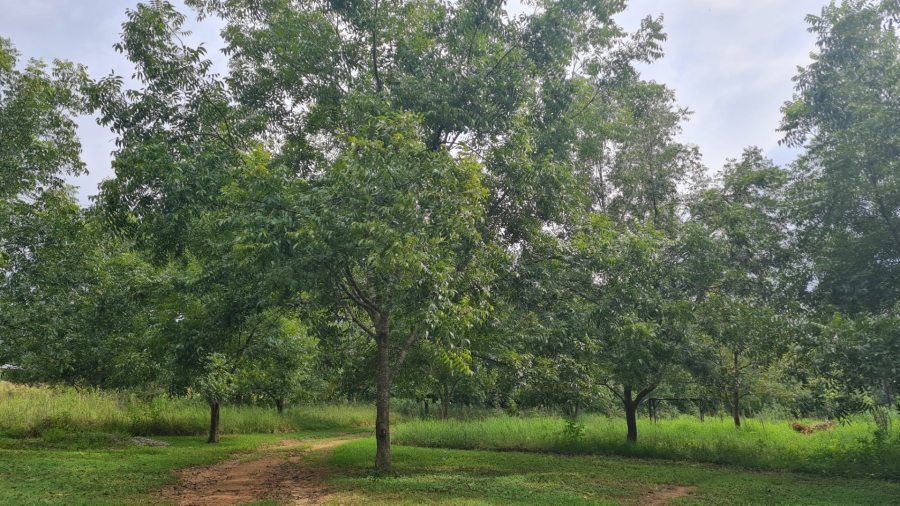  Bedroom Property for Sale in Wild Fig Country Estate Mpumalanga