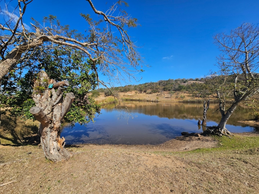 5 Bedroom Property for Sale in Wild Fig Country Estate Mpumalanga
