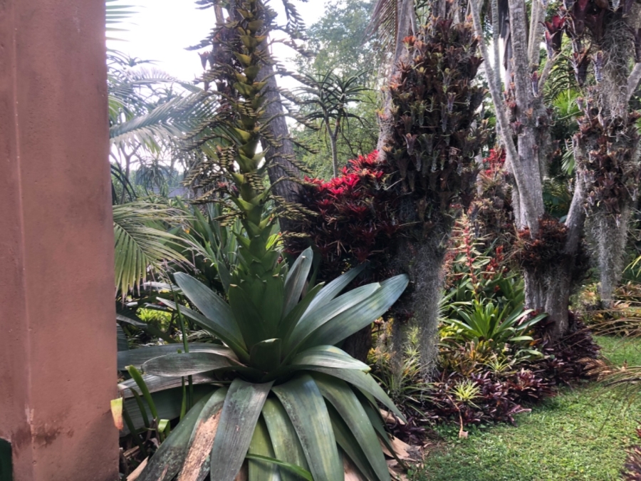 10 Bedroom Property for Sale in White River Ext 5 Mpumalanga