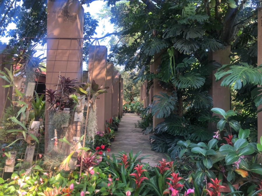 10 Bedroom Property for Sale in White River Ext 5 Mpumalanga
