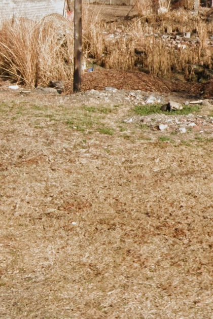 Bedroom Property for Sale in Meyerville Mpumalanga