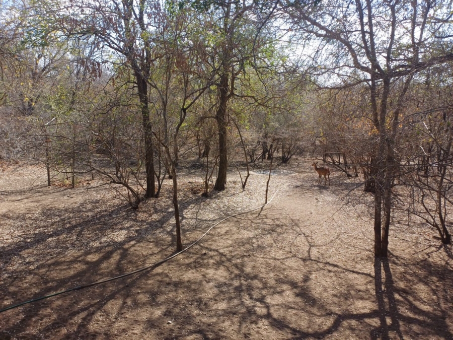 2 Bedroom Property for Sale in Marloth Park Mpumalanga