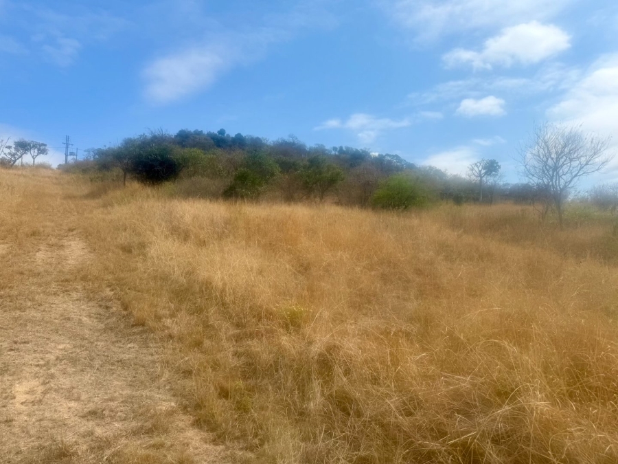 Commercial Property for Sale in Likweti Bushveld Farm Estate Mpumalanga
