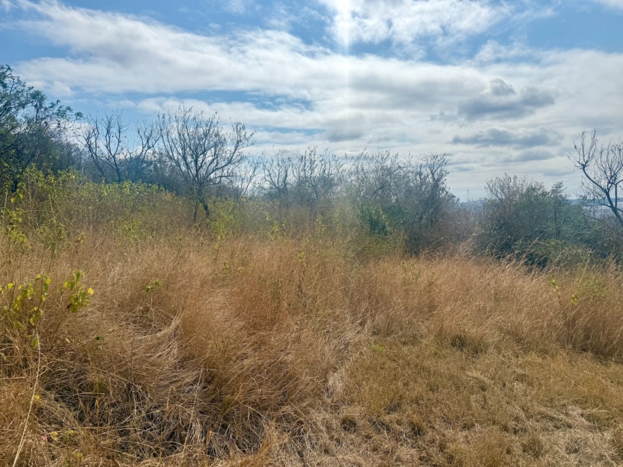 Commercial Property for Sale in Likweti Bushveld Farm Estate Mpumalanga