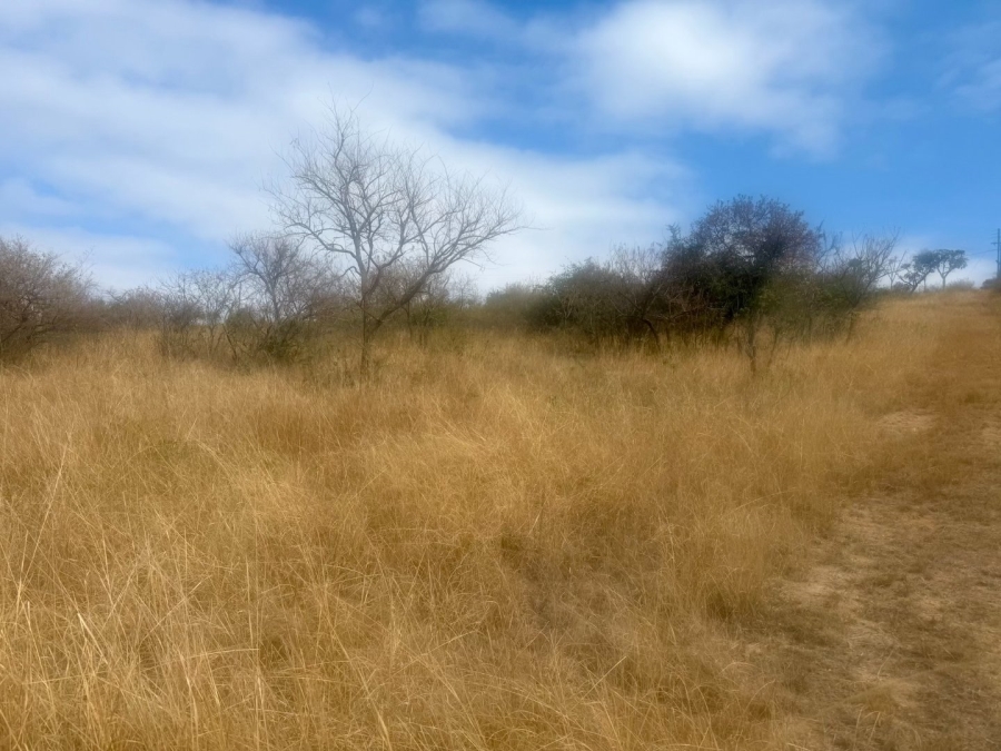 Commercial Property for Sale in Likweti Bushveld Farm Estate Mpumalanga