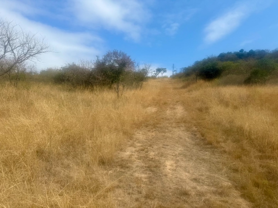 Commercial Property for Sale in Likweti Bushveld Farm Estate Mpumalanga