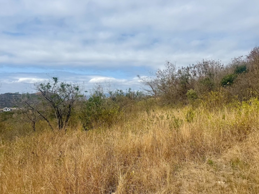 Commercial Property for Sale in Likweti Bushveld Farm Estate Mpumalanga