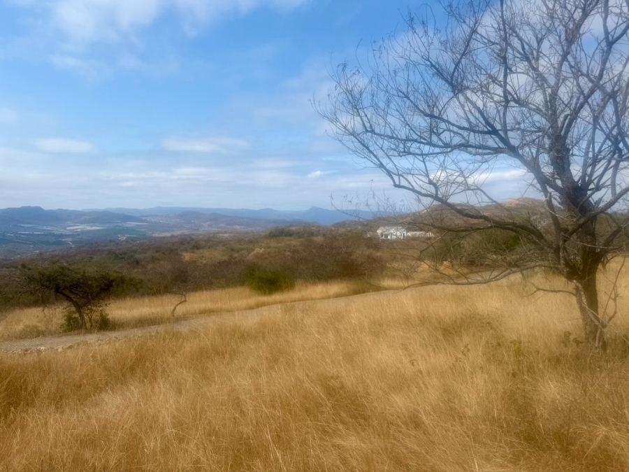 Commercial Property for Sale in Likweti Bushveld Farm Estate Mpumalanga