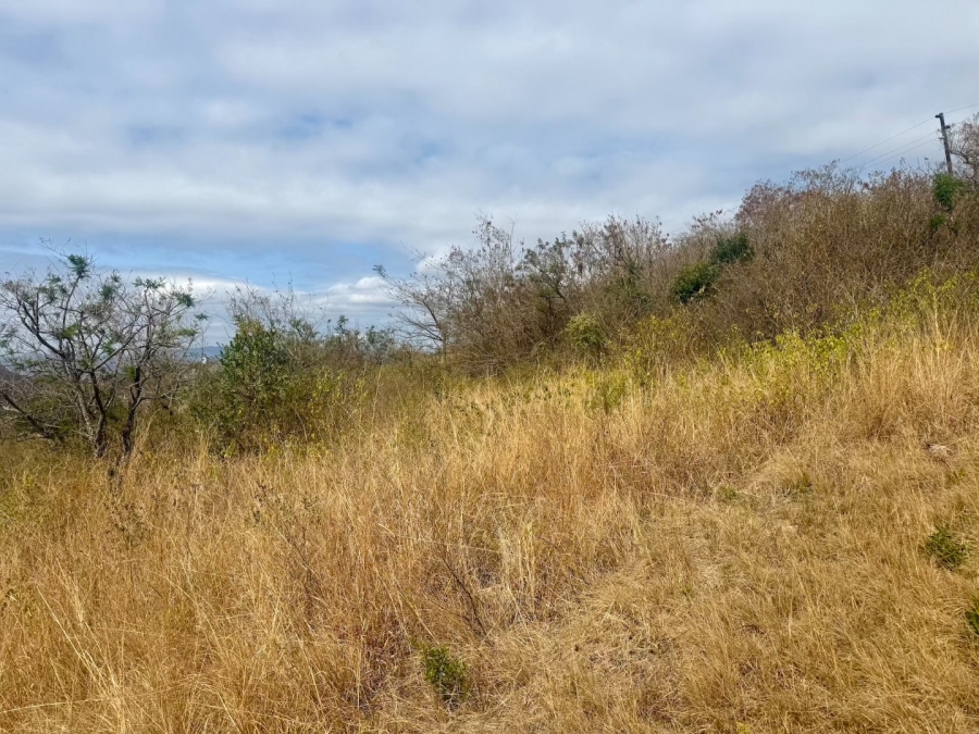 Commercial Property for Sale in Likweti Bushveld Farm Estate Mpumalanga