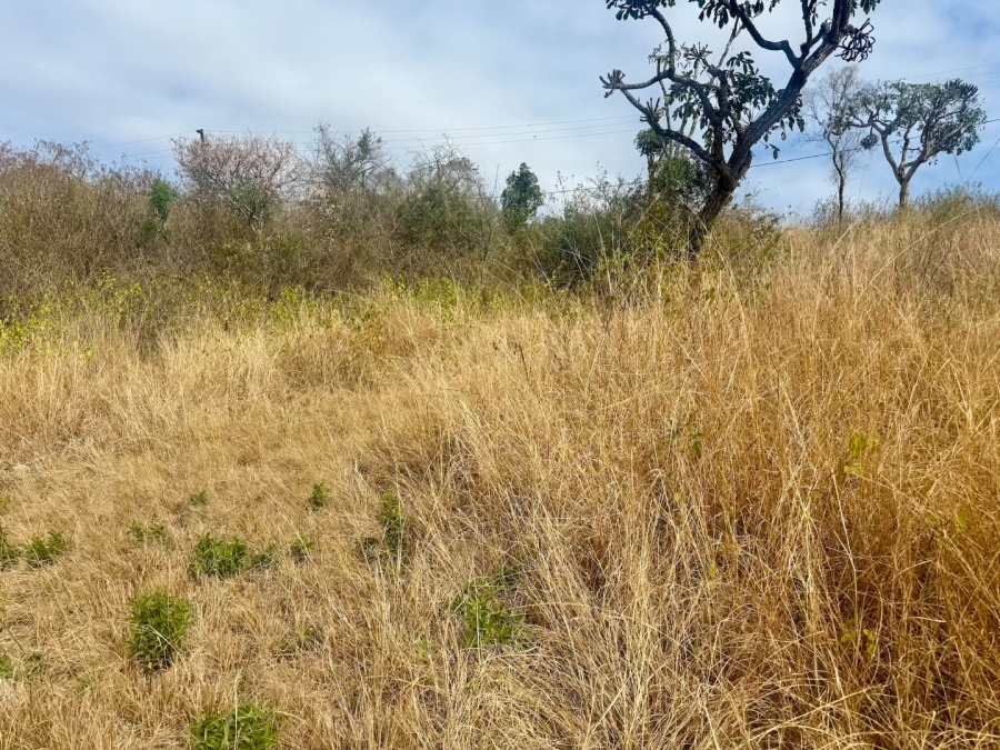 Commercial Property for Sale in Likweti Bushveld Farm Estate Mpumalanga