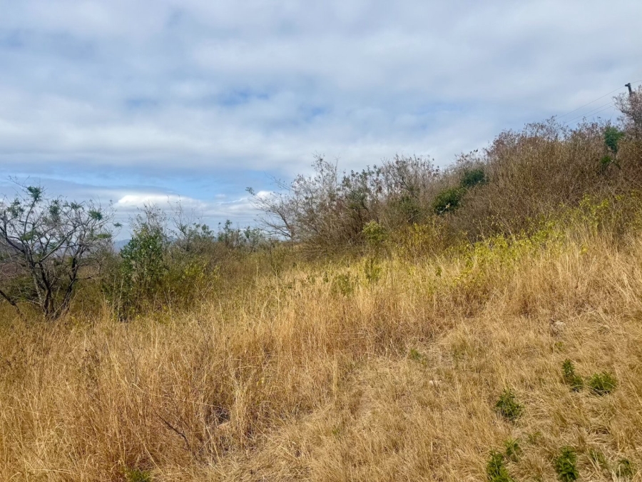 Commercial Property for Sale in Likweti Bushveld Farm Estate Mpumalanga