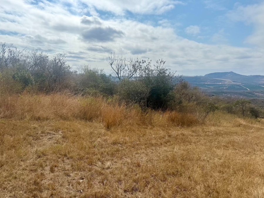 Commercial Property for Sale in Likweti Bushveld Farm Estate Mpumalanga