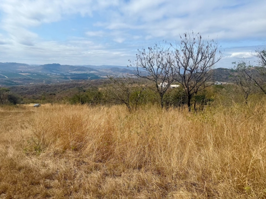 Commercial Property for Sale in Likweti Bushveld Farm Estate Mpumalanga