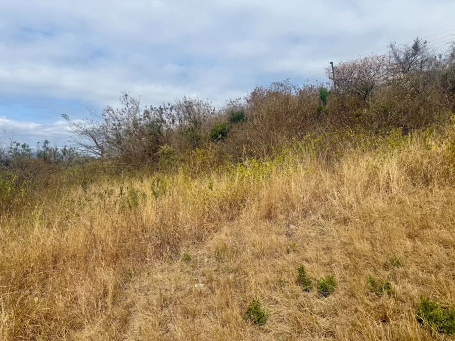 Commercial Property for Sale in Likweti Bushveld Farm Estate Mpumalanga
