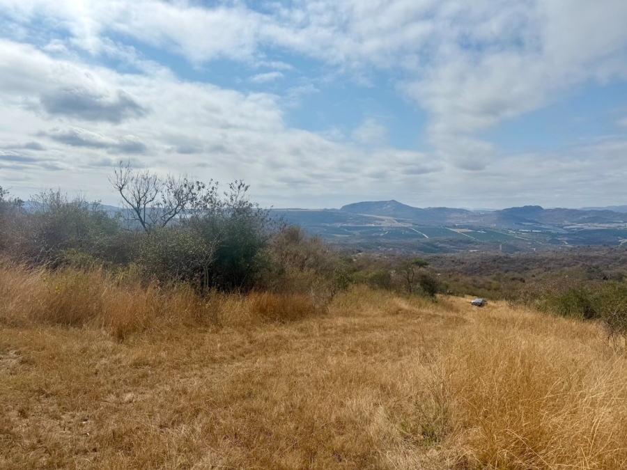 Commercial Property for Sale in Likweti Bushveld Farm Estate Mpumalanga