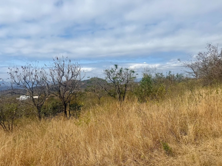 Commercial Property for Sale in Likweti Bushveld Farm Estate Mpumalanga