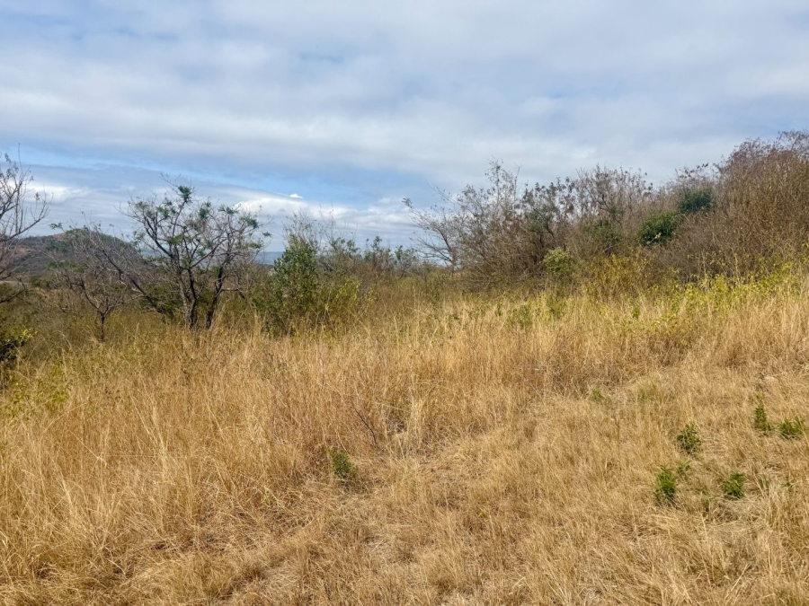 Commercial Property for Sale in Likweti Bushveld Farm Estate Mpumalanga