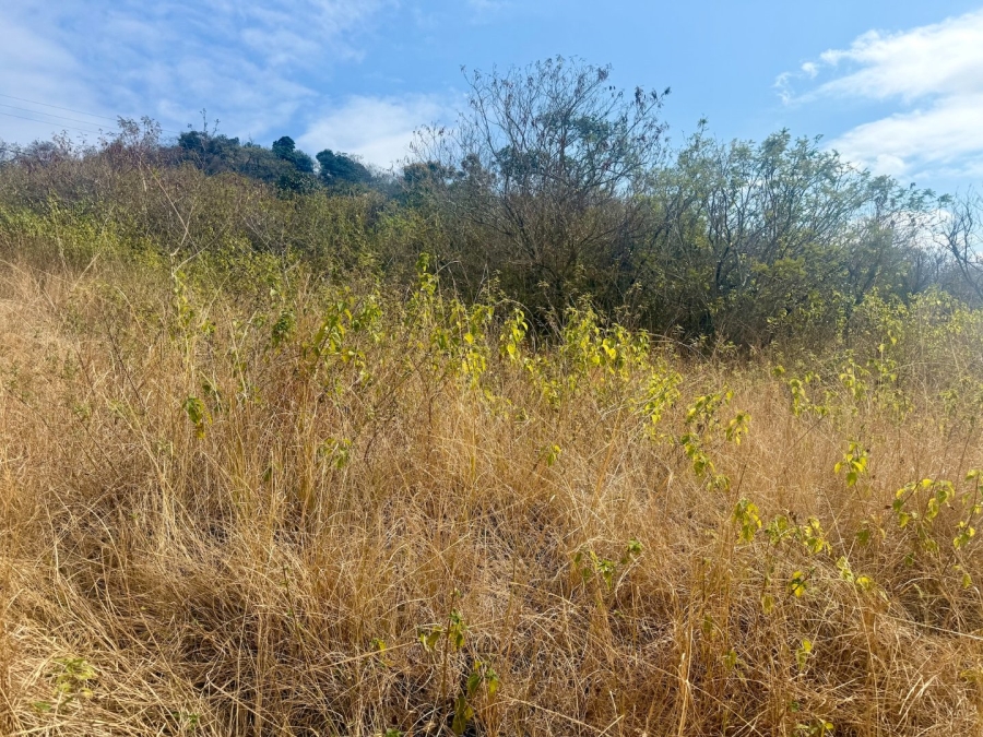 Commercial Property for Sale in Likweti Bushveld Farm Estate Mpumalanga