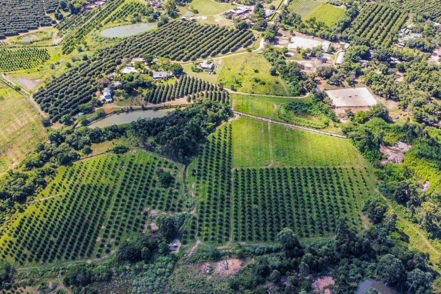 Commercial Property for Sale in White River AH Mpumalanga