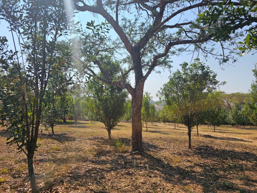 Commercial Property for Sale in White River Estates Mpumalanga