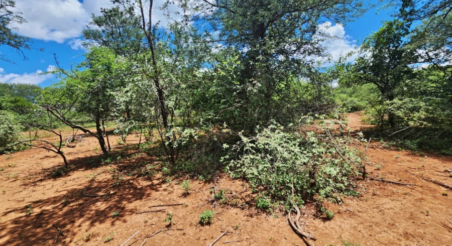 0 Bedroom Property for Sale in Marloth Park Mpumalanga
