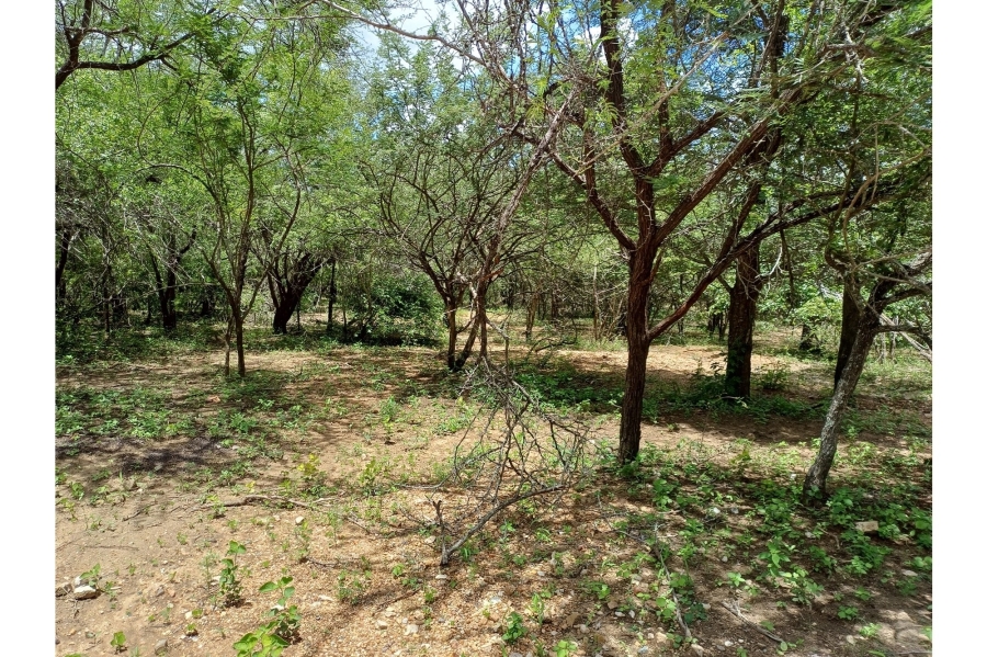 0 Bedroom Property for Sale in Marloth Park Mpumalanga