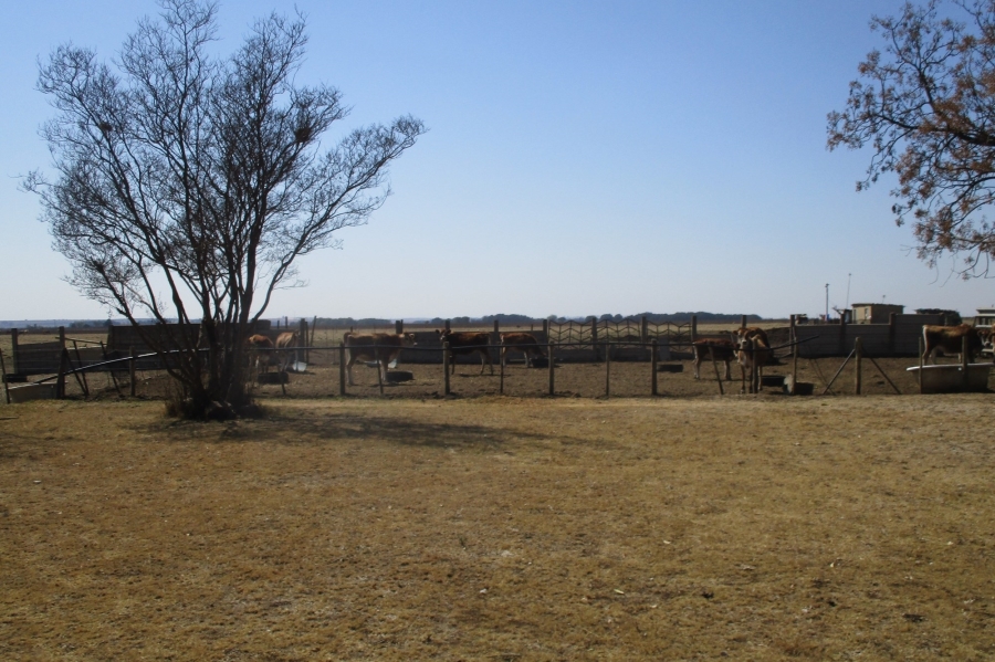 Commercial Property for Sale in Delmas Rural Mpumalanga