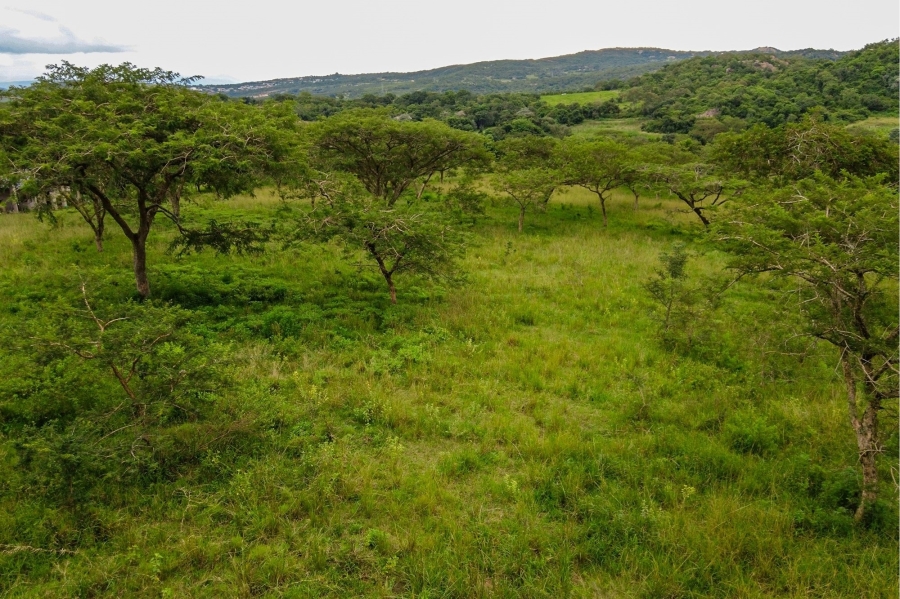 0 Bedroom Property for Sale in White River Mpumalanga