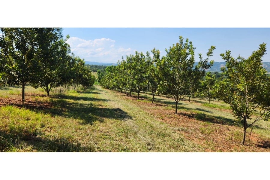 4 Bedroom Property for Sale in Nelspruit Rural Mpumalanga