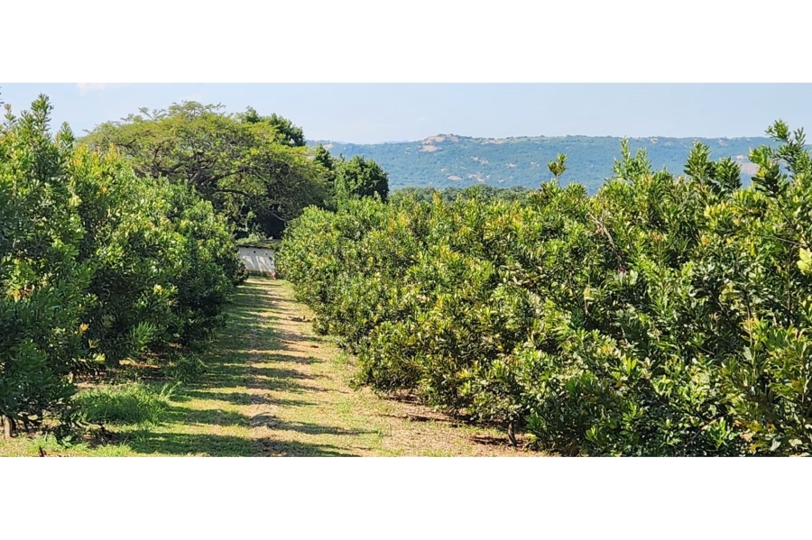 4 Bedroom Property for Sale in Nelspruit Rural Mpumalanga