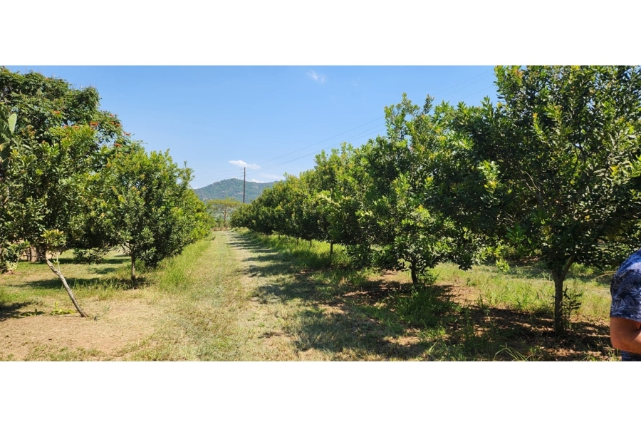 4 Bedroom Property for Sale in Nelspruit Rural Mpumalanga