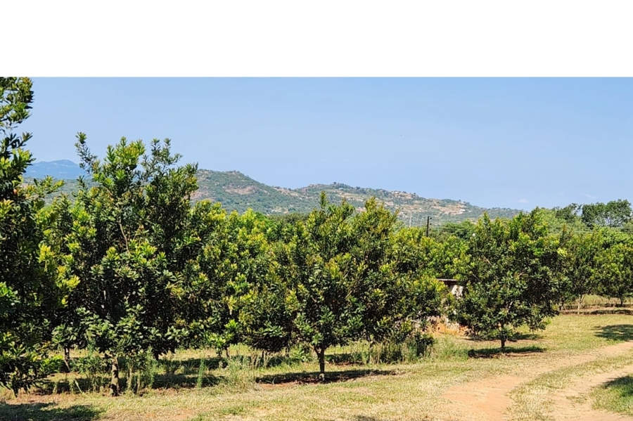 4 Bedroom Property for Sale in Nelspruit Rural Mpumalanga