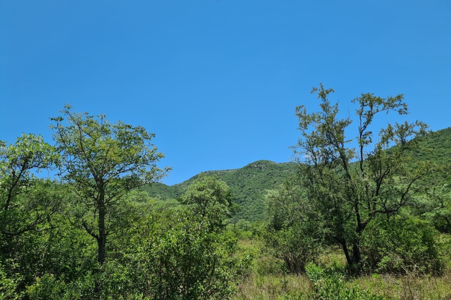 6 Bedroom Property for Sale in Barberton Rural Mpumalanga