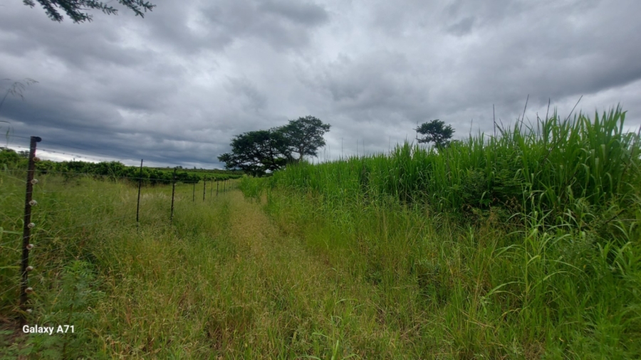 Commercial Property for Sale in Barberton Rural Mpumalanga