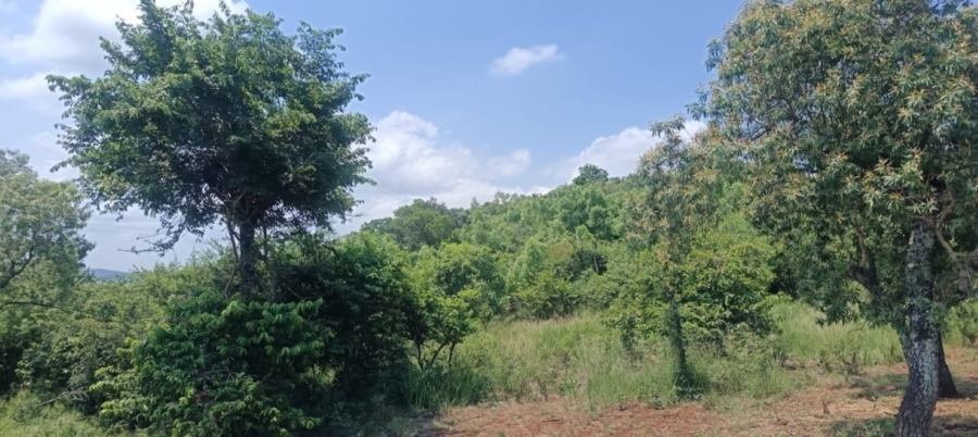 0 Bedroom Property for Sale in Hazyview Mpumalanga