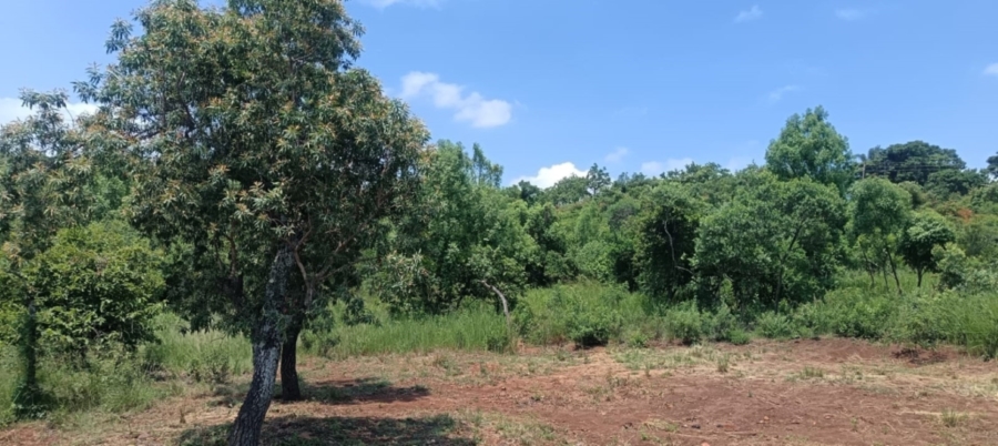 0 Bedroom Property for Sale in Hazyview Mpumalanga