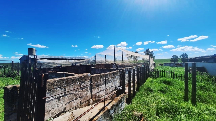 7 Bedroom Property for Sale in Standerton Rural Mpumalanga