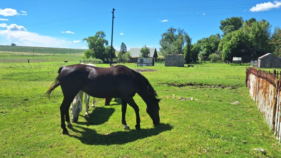 7 Bedroom Property for Sale in Standerton Rural Mpumalanga