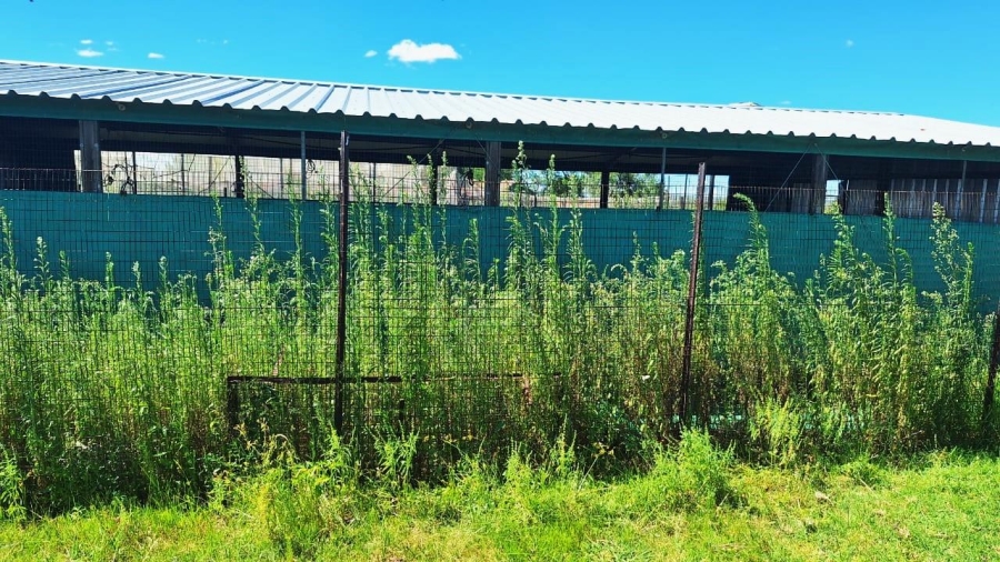 7 Bedroom Property for Sale in Standerton Rural Mpumalanga