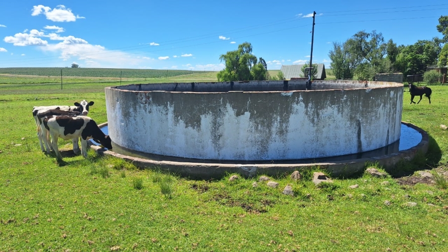 7 Bedroom Property for Sale in Standerton Rural Mpumalanga