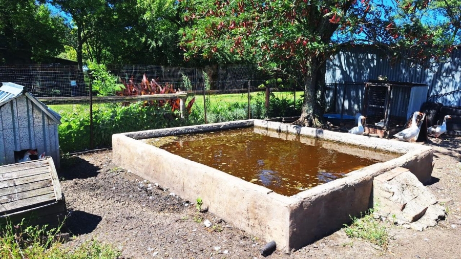 7 Bedroom Property for Sale in Standerton Rural Mpumalanga