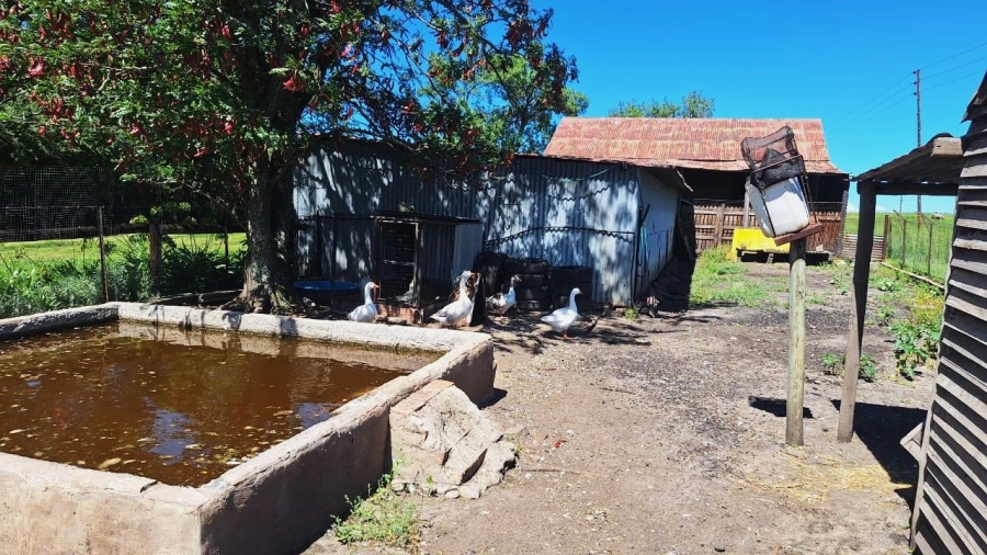 7 Bedroom Property for Sale in Standerton Rural Mpumalanga
