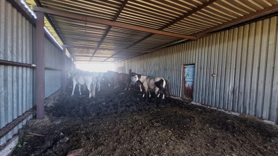7 Bedroom Property for Sale in Standerton Rural Mpumalanga