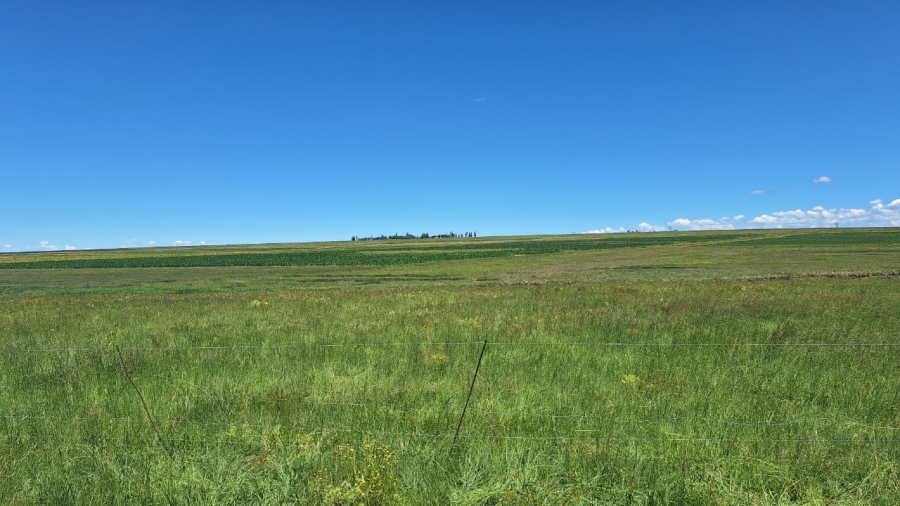 7 Bedroom Property for Sale in Standerton Rural Mpumalanga