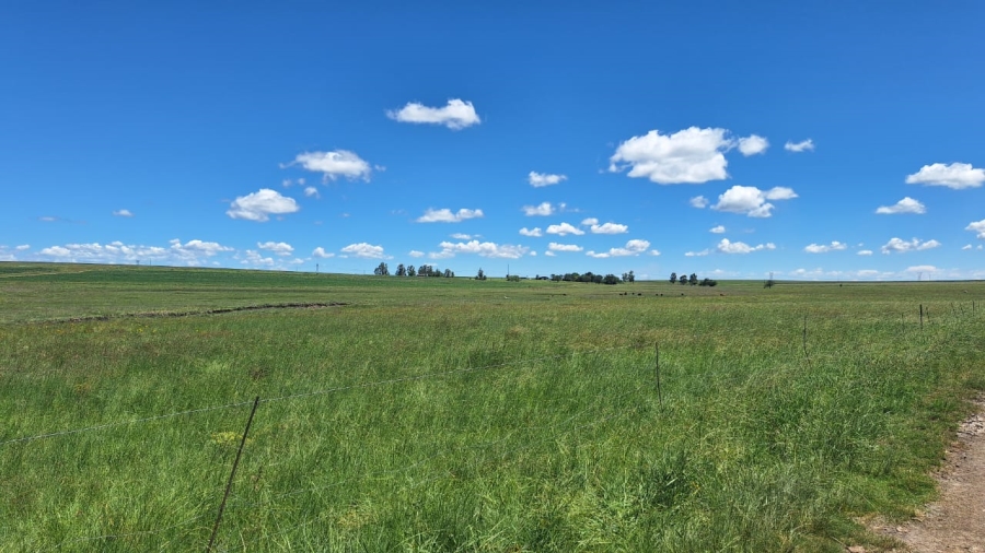 7 Bedroom Property for Sale in Standerton Rural Mpumalanga